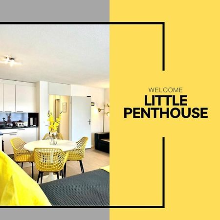 Little Penthouse **** Apartman Dietikon Kültér fotó
