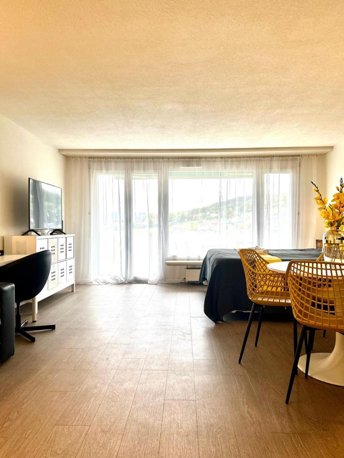 Little Penthouse **** Apartman Dietikon Kültér fotó
