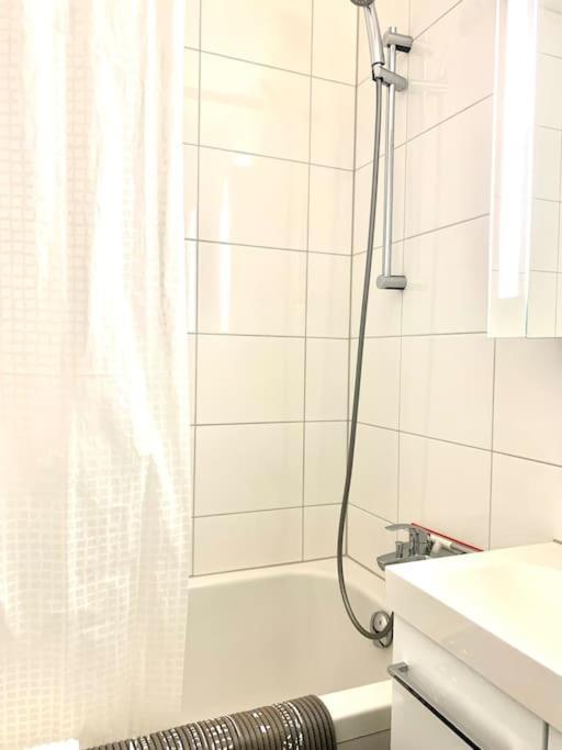 Little Penthouse **** Apartman Dietikon Kültér fotó